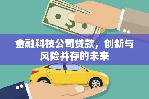 美姑金融科技公司贷款，创新与风险并存的未来