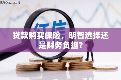 美姑贷款购买保险，明智选择还是财务负担？