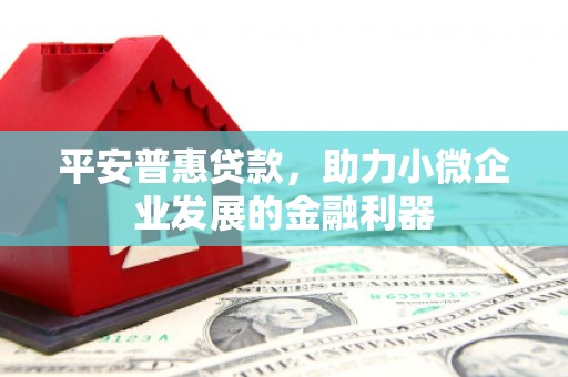 美姑平安普惠贷款，助力小微企业发展的金融利器