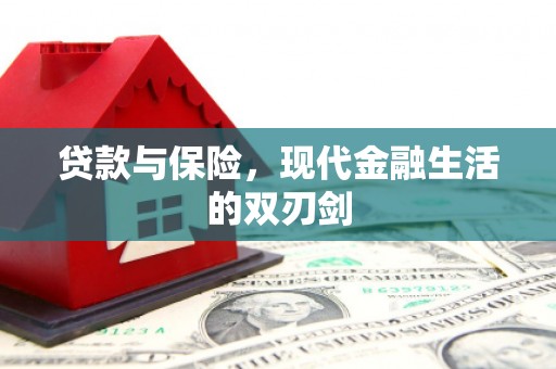 美姑贷款与保险，现代金融生活的双刃剑