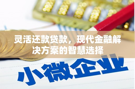 美姑灵活还款贷款，现代金融解决方案的智慧选择