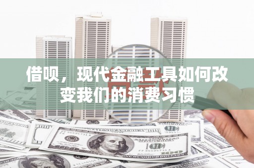 美姑借呗，现代金融工具如何改变我们的消费习惯