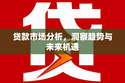 美姑贷款市场分析，洞察趋势与未来机遇