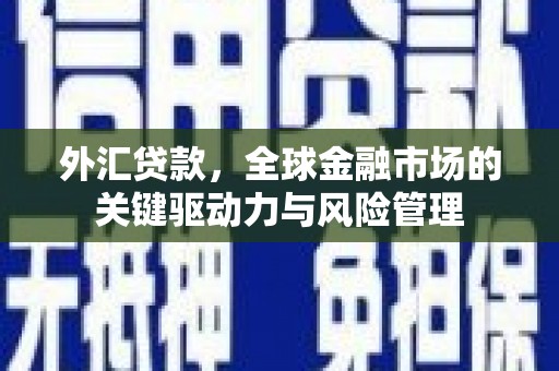 美姑外汇贷款，全球金融市场的关键驱动力与风险管理