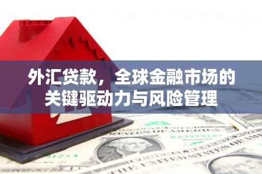 美姑外汇贷款，全球金融市场的关键驱动力与风险管理