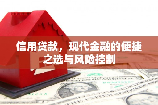 美姑信用贷款，现代金融的便捷之选与风险控制