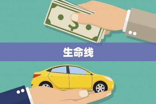 美姑生命线