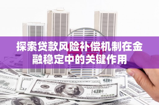 美姑探索贷款风险补偿机制在金融稳定中的关键作用