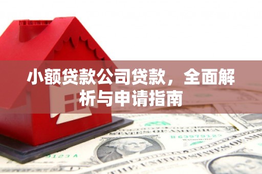 美姑小额贷款公司贷款，全面解析与申请指南