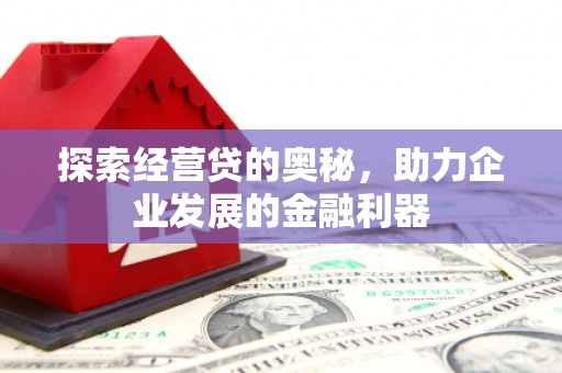 美姑探索经营贷的奥秘，助力企业发展的金融利器