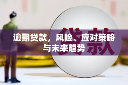 美姑逾期贷款，风险、应对策略与未来趋势