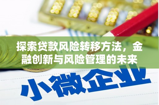 美姑探索贷款风险转移方法，金融创新与风险管理的未来