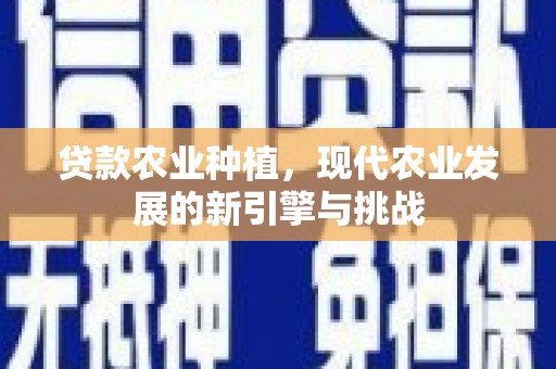 美姑贷款农业种植，现代农业发展的新引擎与挑战