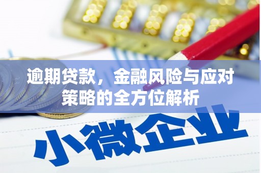 美姑逾期贷款，金融风险与应对策略的全方位解析