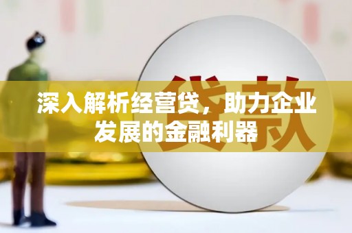 美姑深入解析经营贷，助力企业发展的金融利器