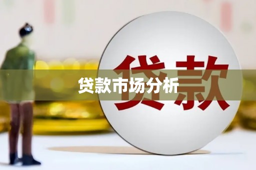 美姑贷款市场分析