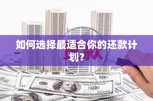 美姑如何选择最适合你的还款计划？