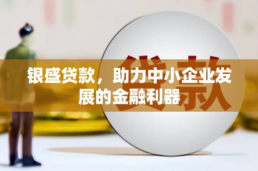 美姑银盛贷款，助力中小企业发展的金融利器