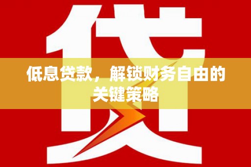 美姑低息贷款，解锁财务自由的关键策略