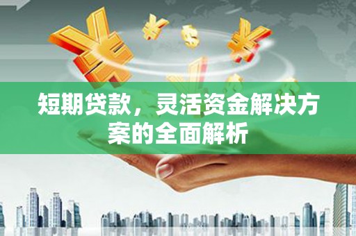美姑短期贷款，灵活资金解决方案的全面解析
