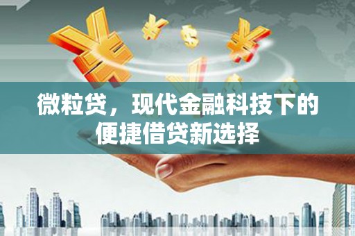 美姑微粒贷，现代金融科技下的便捷借贷新选择