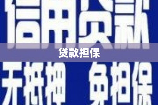 美姑贷款担保