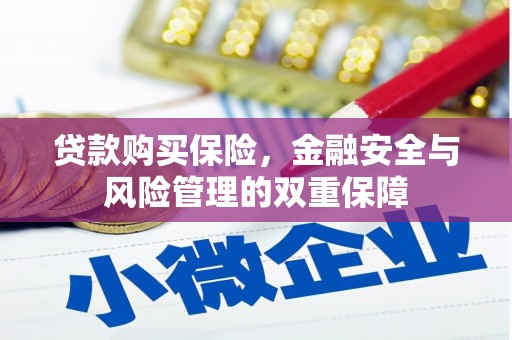 美姑贷款购买保险，金融安全与风险管理的双重保障