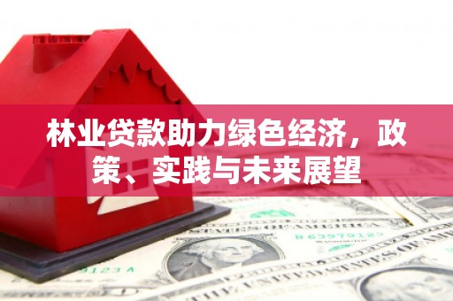 美姑林业贷款助力绿色经济，政策、实践与未来展望