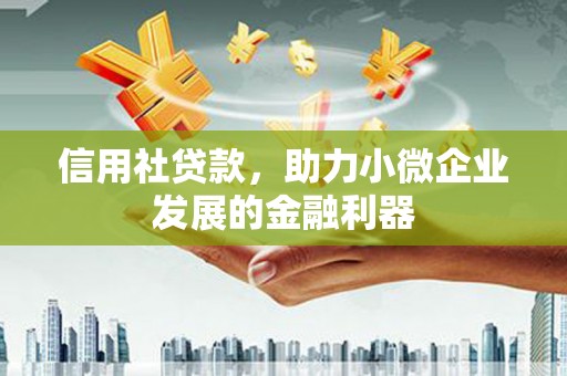 美姑信用社贷款，助力小微企业发展的金融利器
