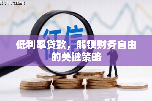 美姑低利率贷款，解锁财务自由的关键策略