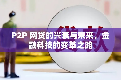 美姑P2P 网贷的兴衰与未来，金融科技的变革之路