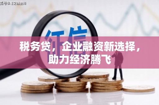 美姑税务贷，企业融资新选择，助力经济腾飞