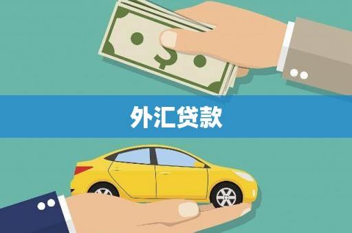 美姑外汇贷款