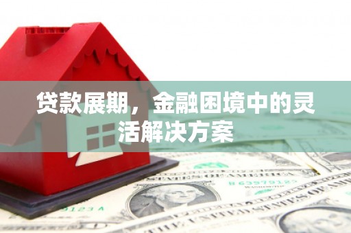 美姑贷款展期，金融困境中的灵活解决方案