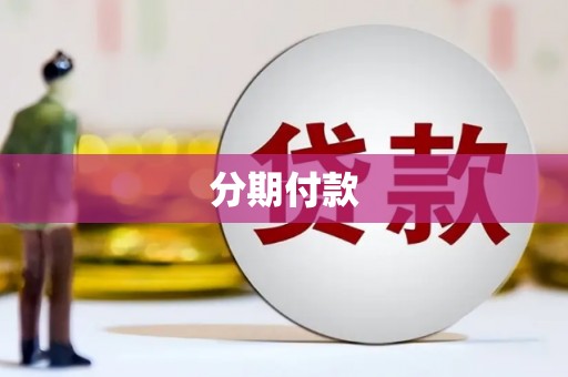 美姑分期付款