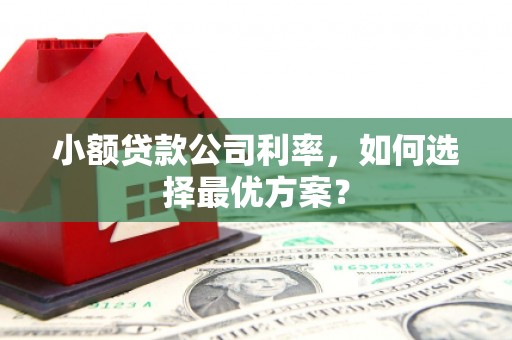 美姑小额贷款公司利率，如何选择最优方案？