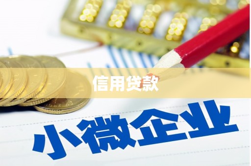 美姑信用贷款
