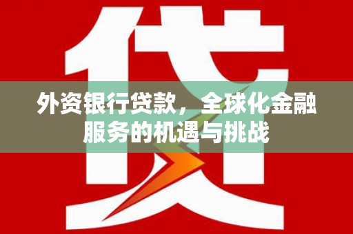 美姑外资银行贷款，全球化金融服务的机遇与挑战