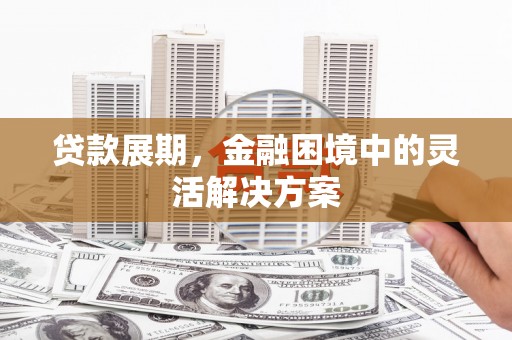 美姑贷款展期，金融困境中的灵活解决方案