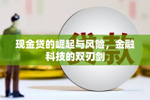 美姑现金贷的崛起与风险，金融科技的双刃剑