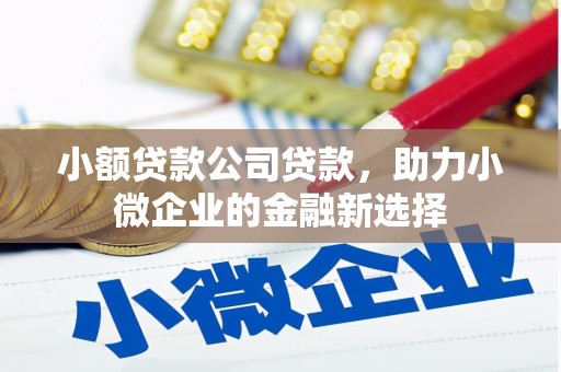 美姑小额贷款公司贷款，助力小微企业的金融新选择