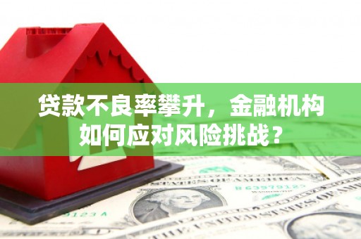 美姑贷款不良率攀升，金融机构如何应对风险挑战？