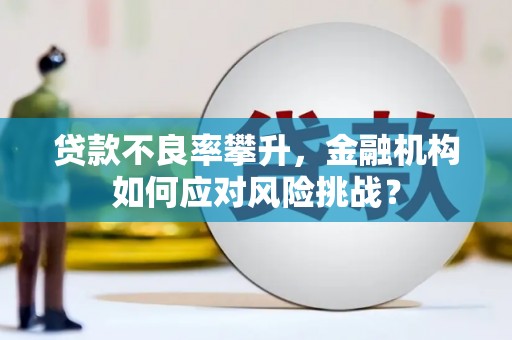 美姑贷款不良率攀升，金融机构如何应对风险挑战？