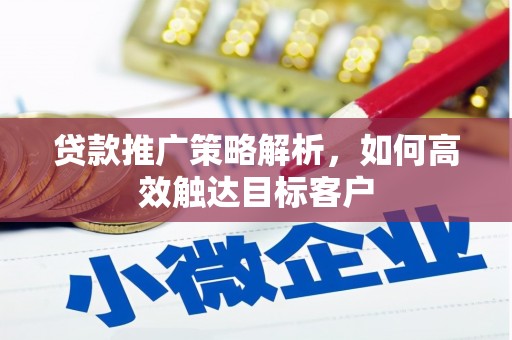 美姑贷款推广策略解析，如何高效触达目标客户