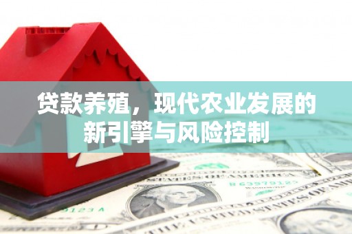 美姑贷款养殖，现代农业发展的新引擎与风险控制
