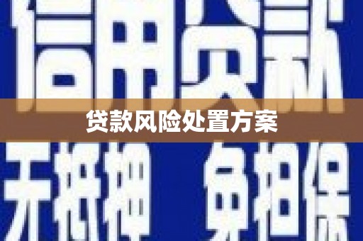 美姑贷款风险处置方案