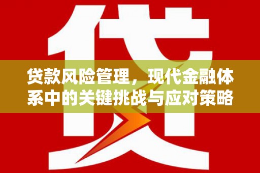 美姑贷款风险管理，现代金融体系中的关键挑战与应对策略