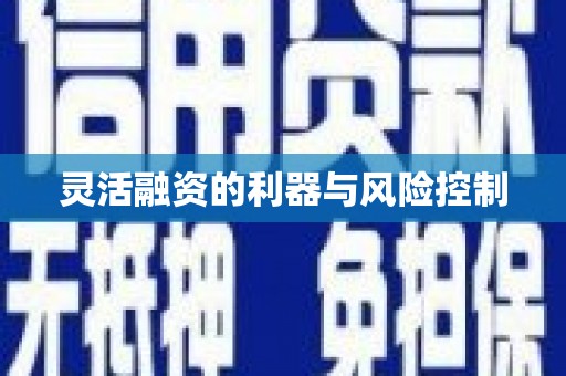 美姑灵活融资的利器与风险控制