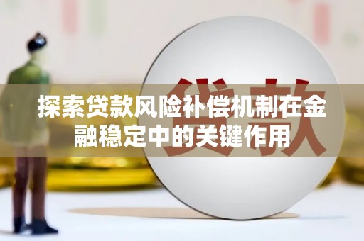 美姑探索贷款风险补偿机制在金融稳定中的关键作用