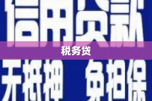 美姑税务贷